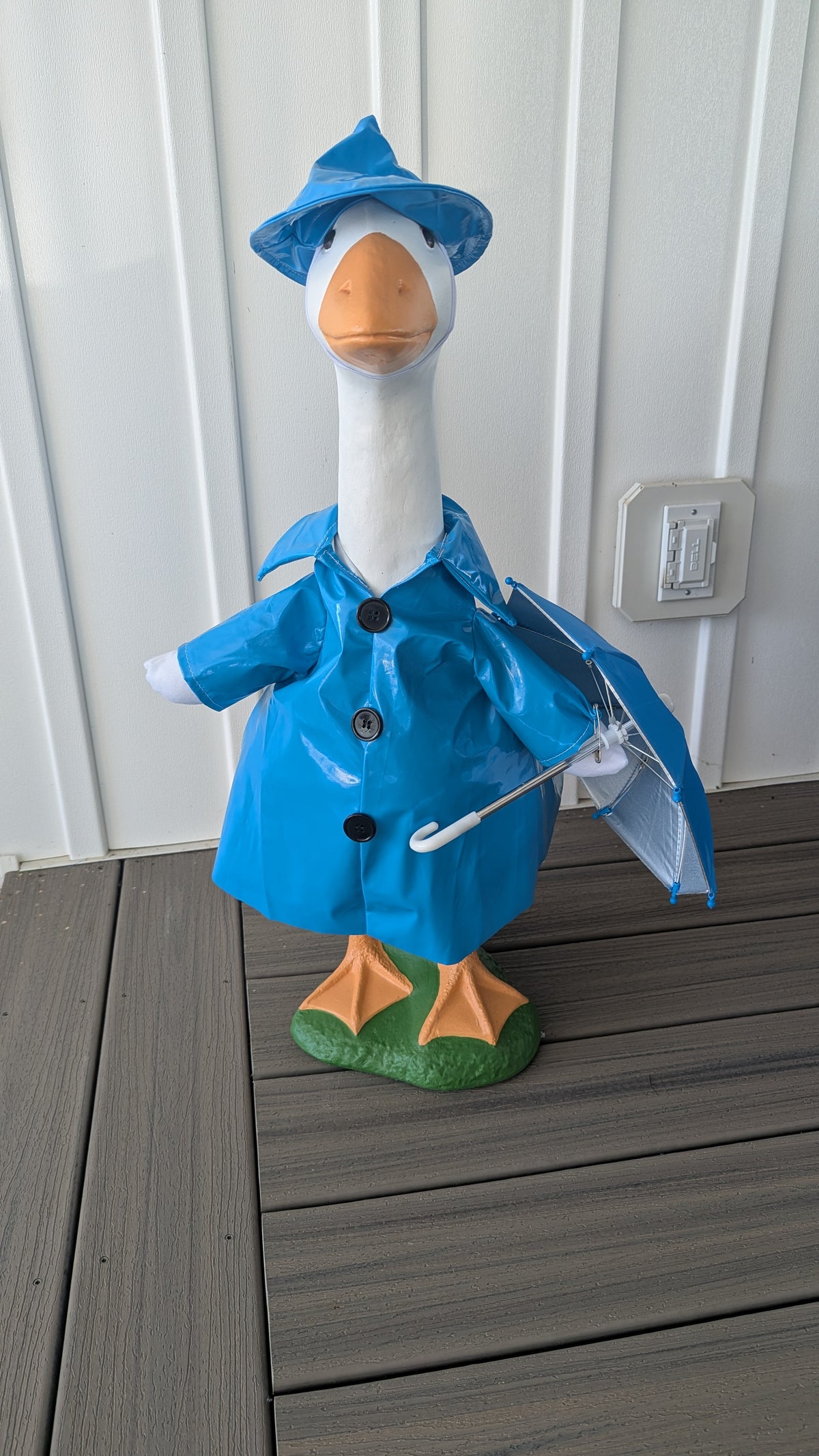 Raincoat goose outfit
