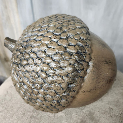 Medium acorn