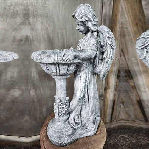 Angel with bowl bird bath