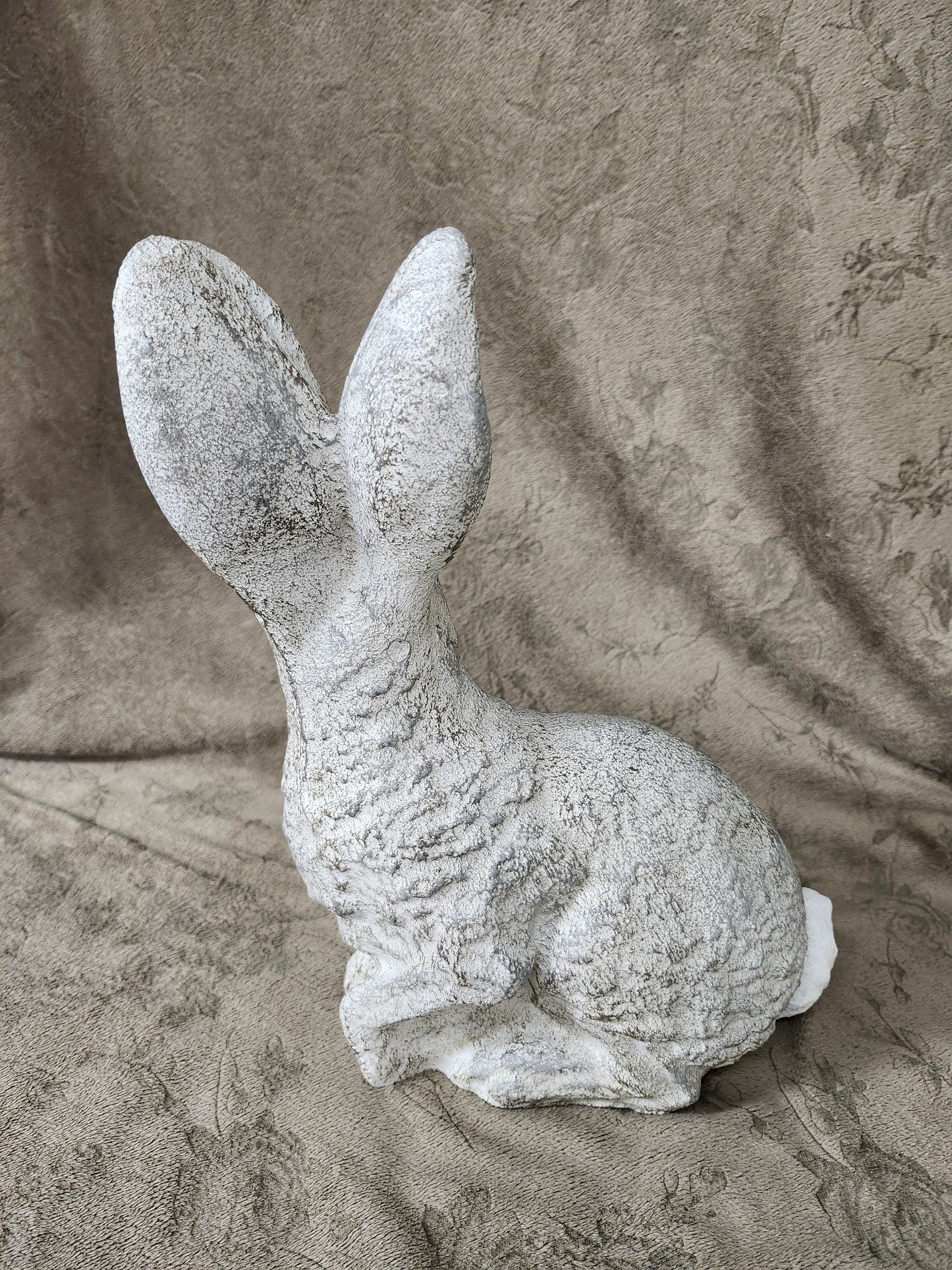 Rabbit sitting classic