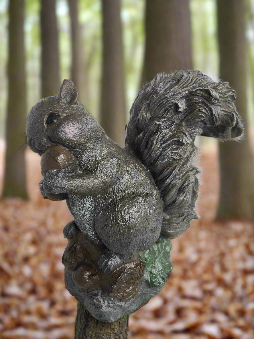Bushy tail Squirrel