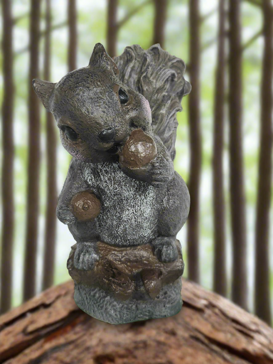 Bushy tail Squirrel