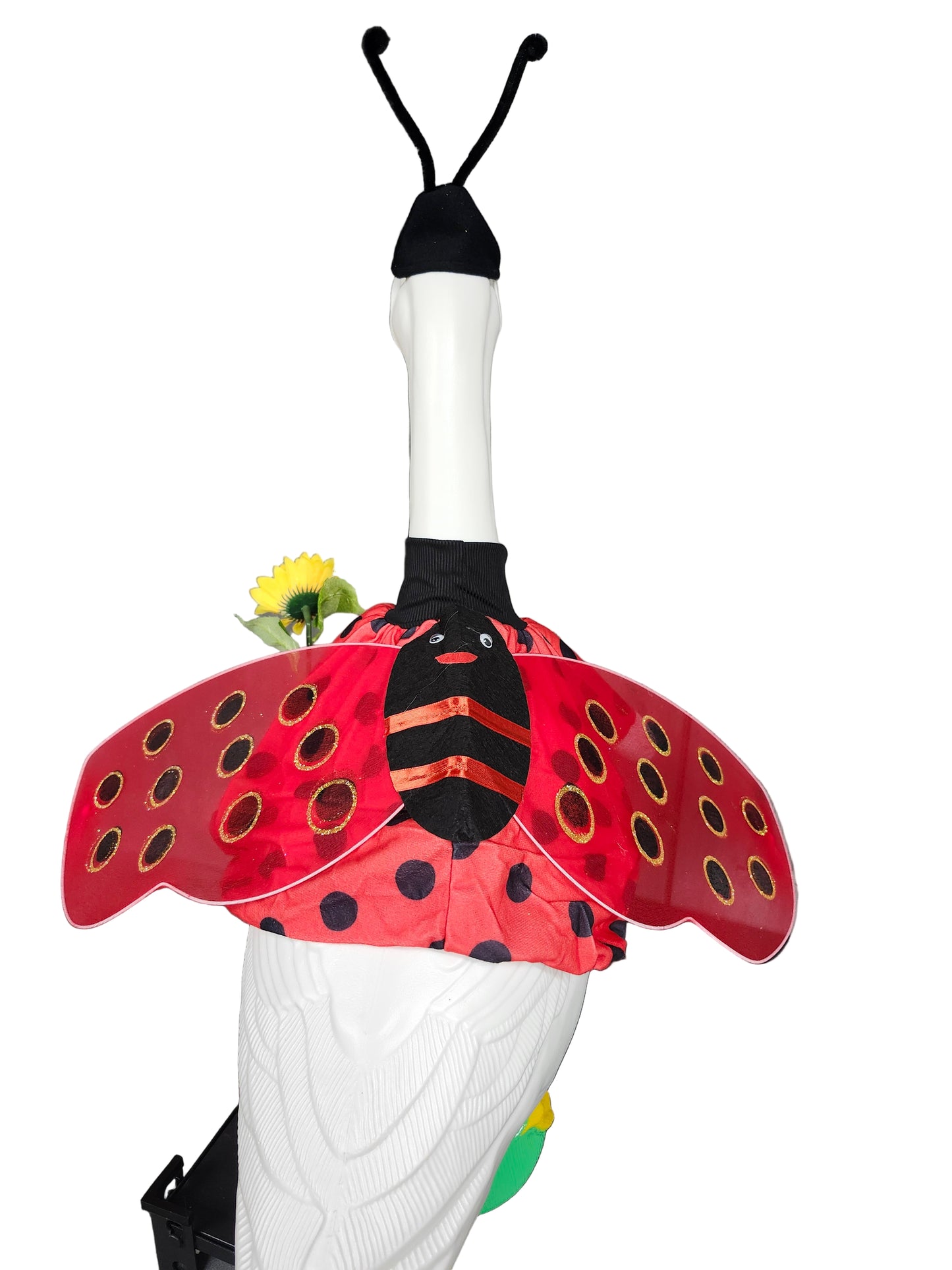 Ladybug goose outfit