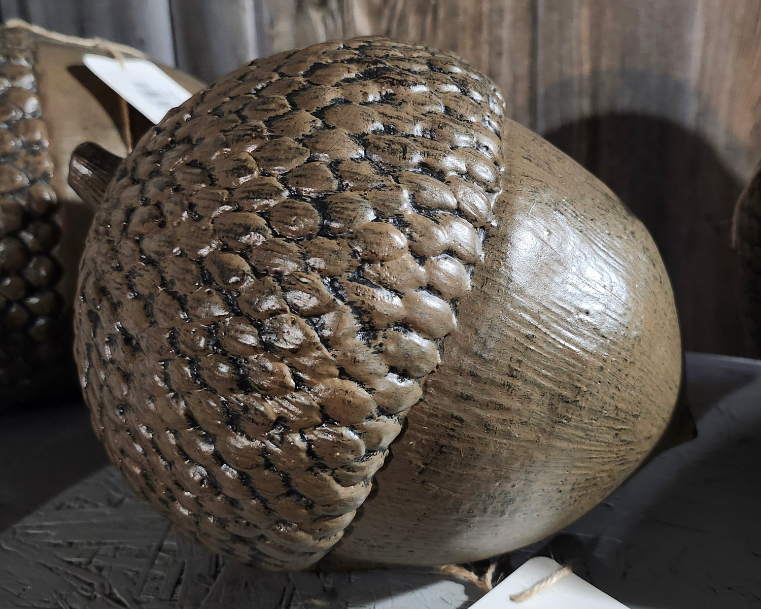 Acorn