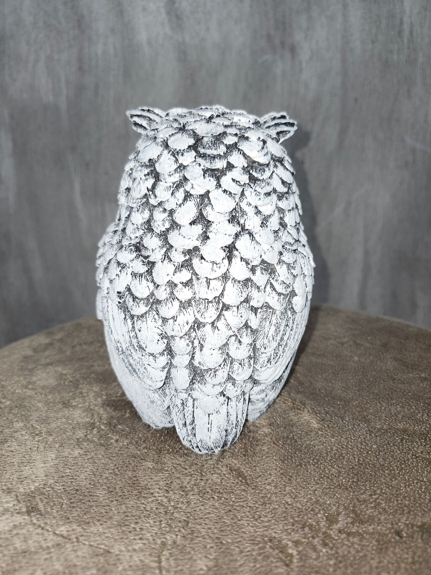 Great horned detailed owl