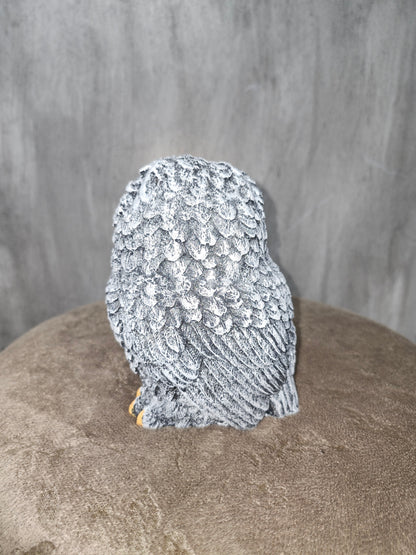 Detailed small Owl