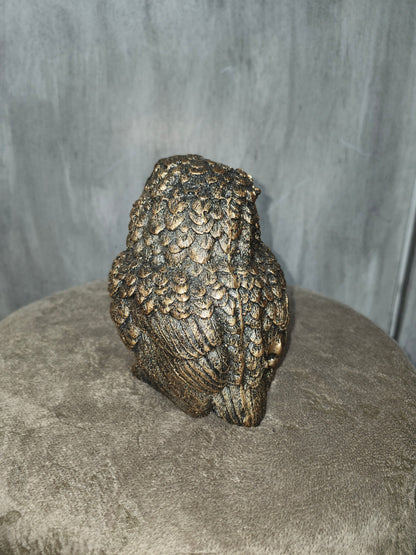 Detailed small Owl