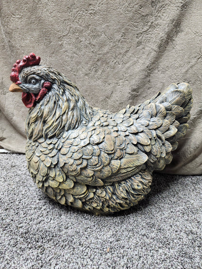 Hen setting large