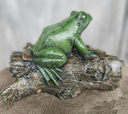 Frog on log