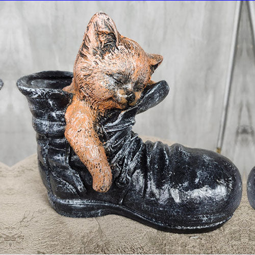 Cat in boot