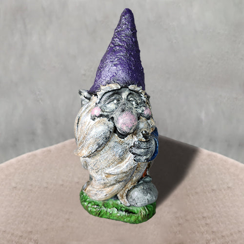 Laughing small gnome