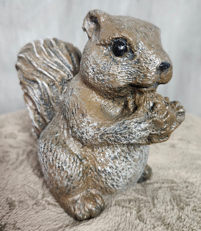 Small detailed squirrel