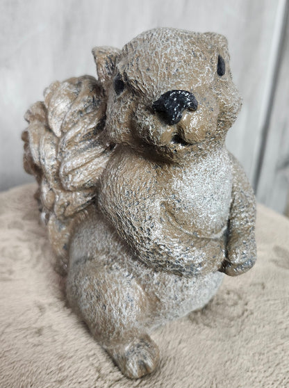 Medium detailed squirrel