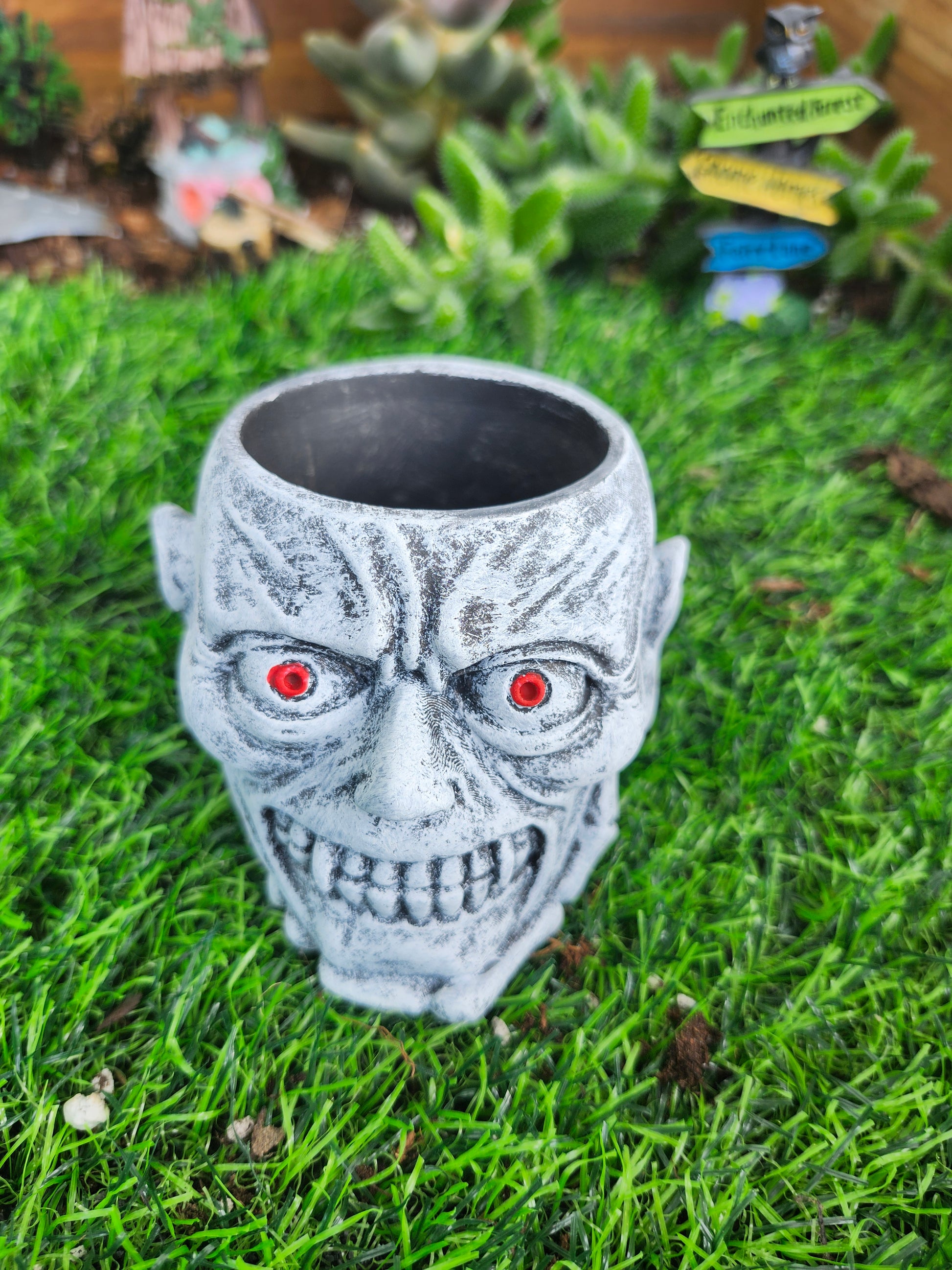 skull succulent pot Skull succulent pot