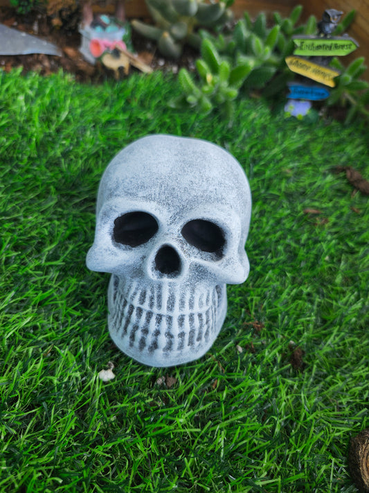 Smooth skull