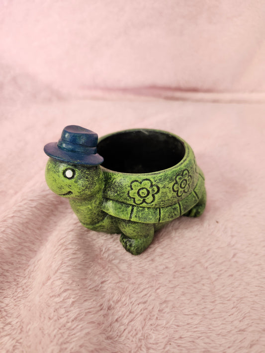 Turtle with hat succulent pot