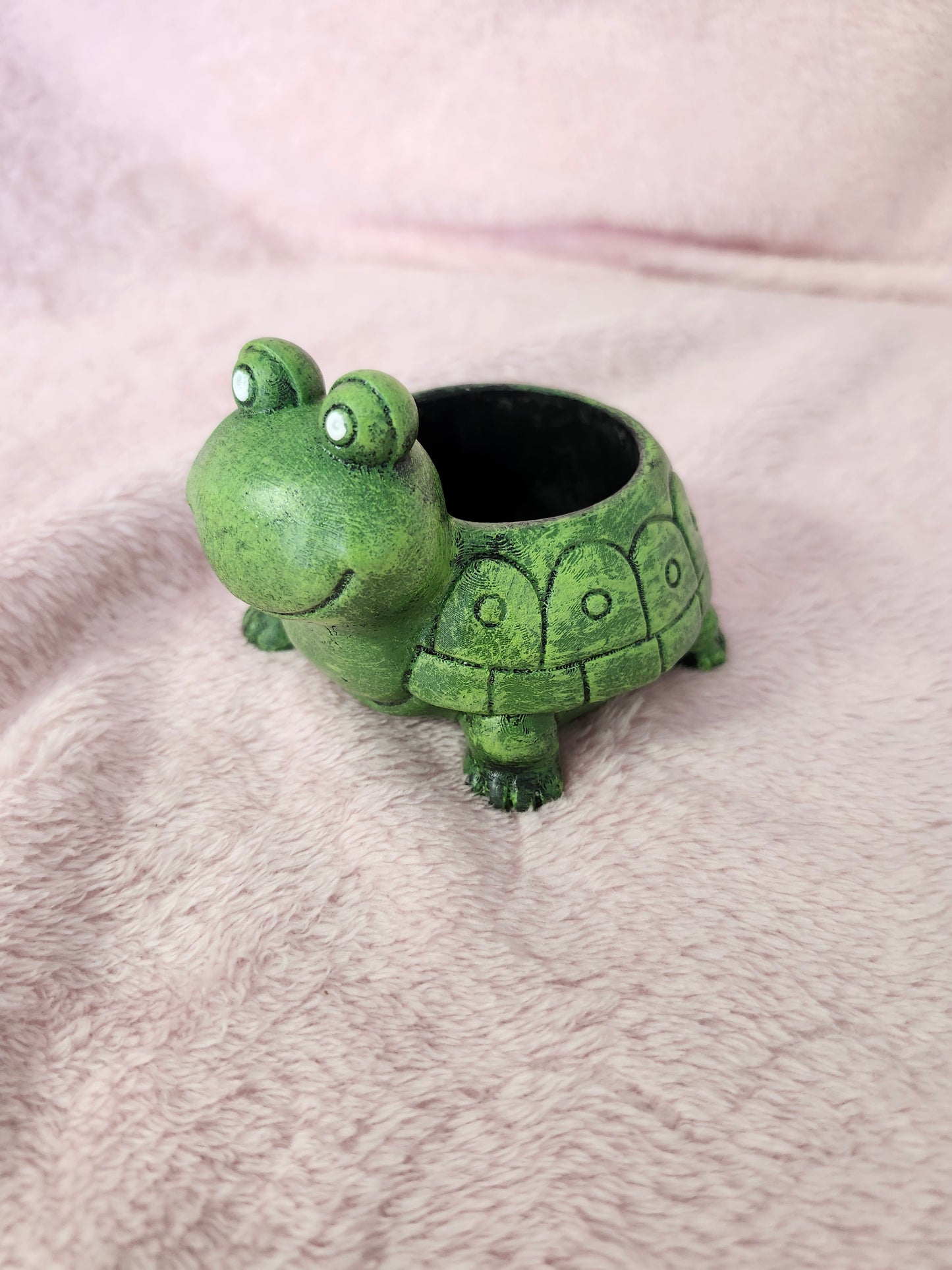 Turtle succulent pot