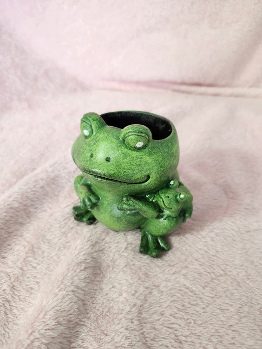 Frog succulent pot