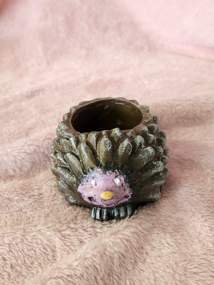 Hedgehog succulent pot