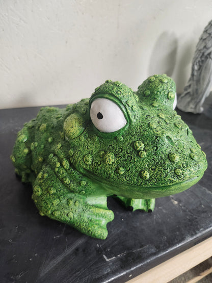 Large Detailed Frog