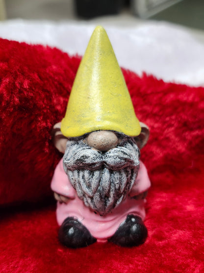 Big ear gnome tiny