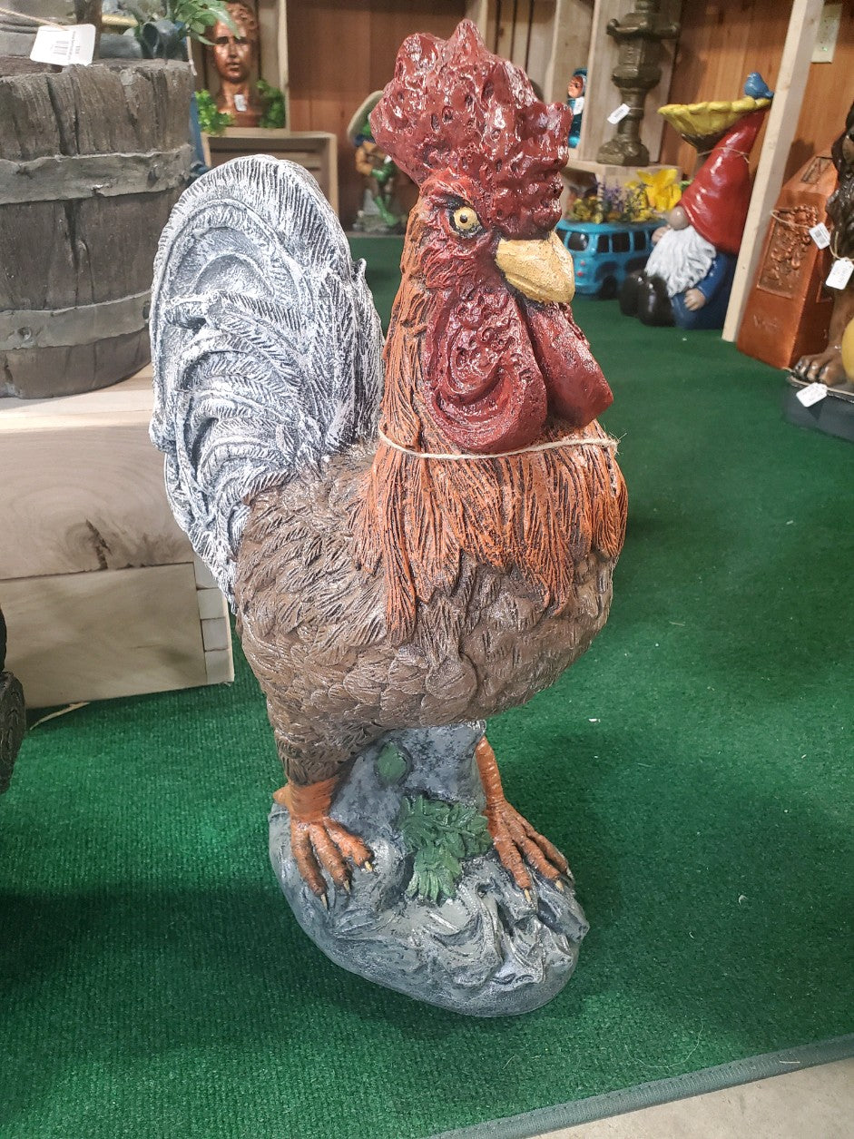 Chicken-Rooster detailed