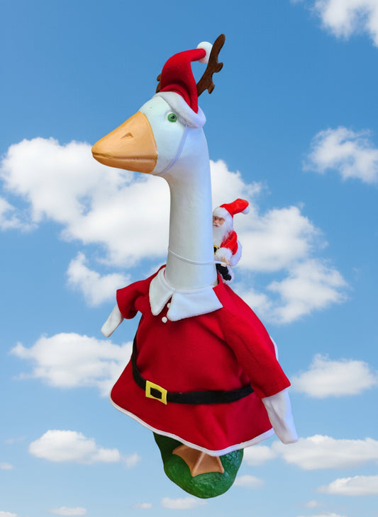 Santa riding Santa suit goose outfit