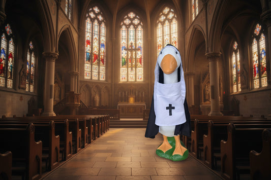 1 pc Nun goose outfit