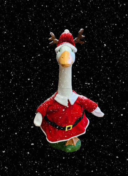 Santa riding Santa suit goose outfit