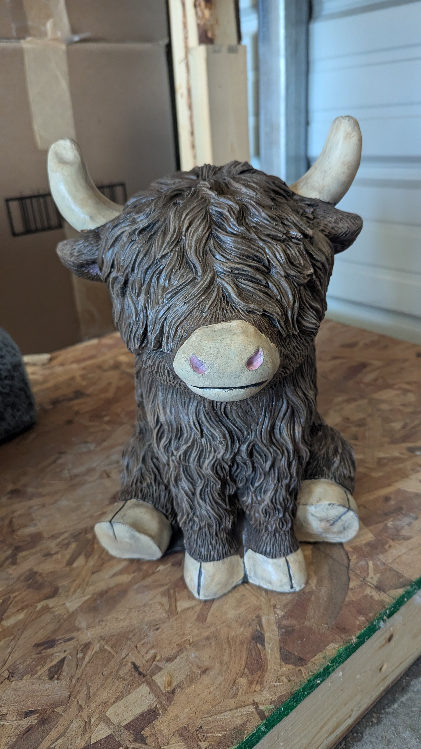 Scottish Highlander small