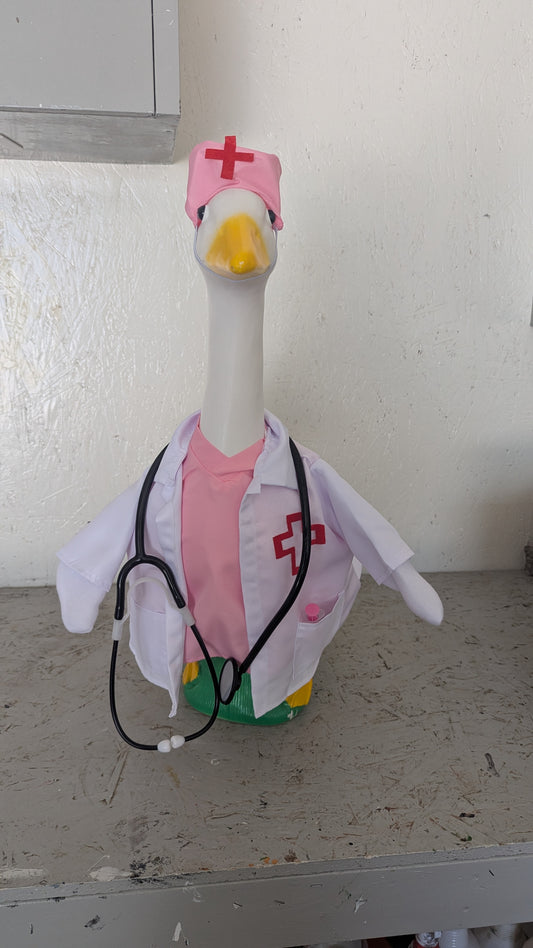 Nurse goose outfit