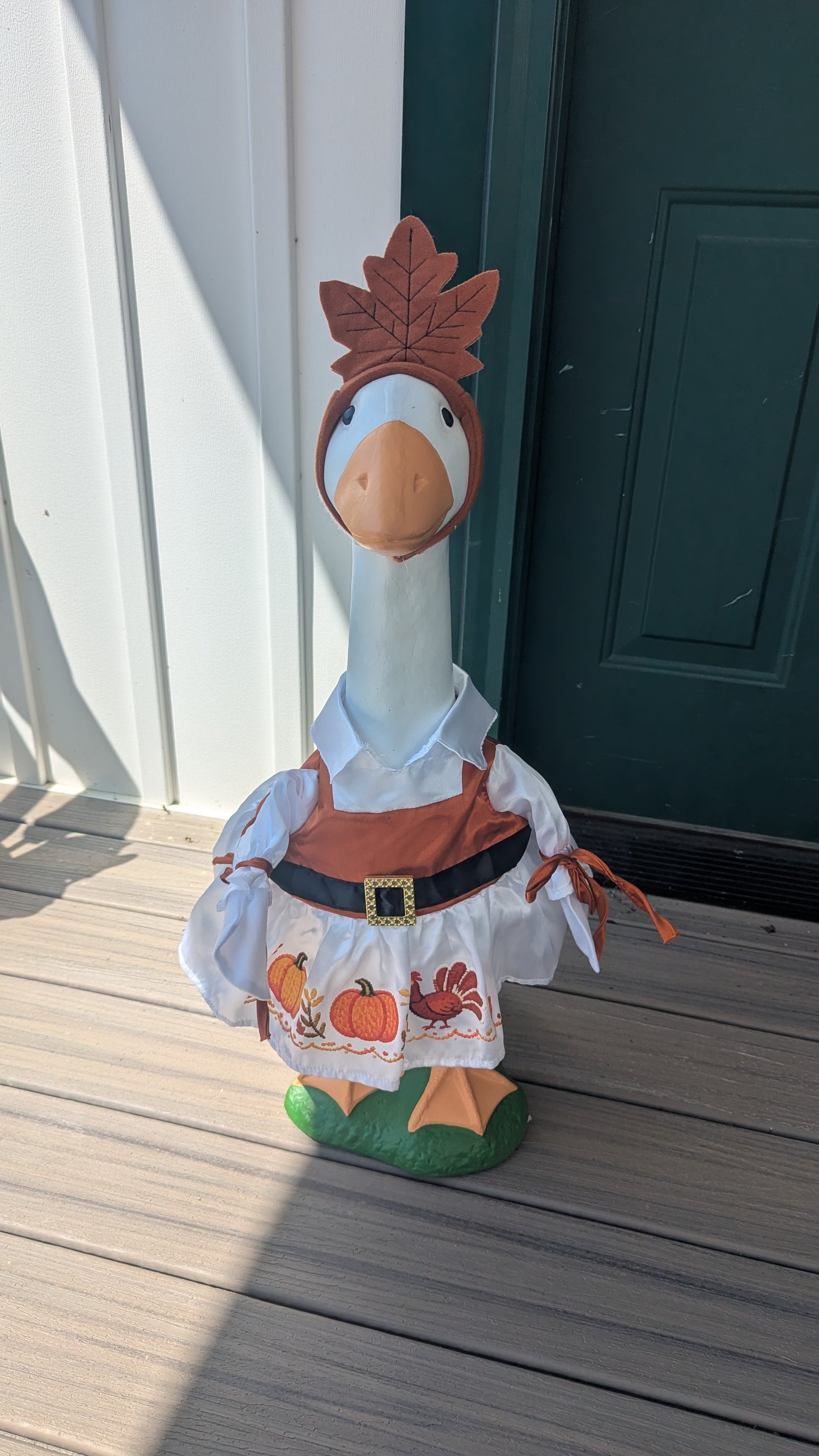 Thanksgiving Lady goose outfit