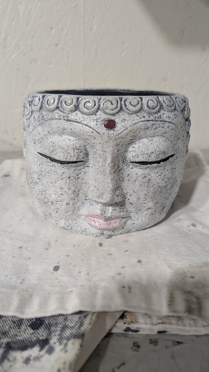 Large Buddha planter