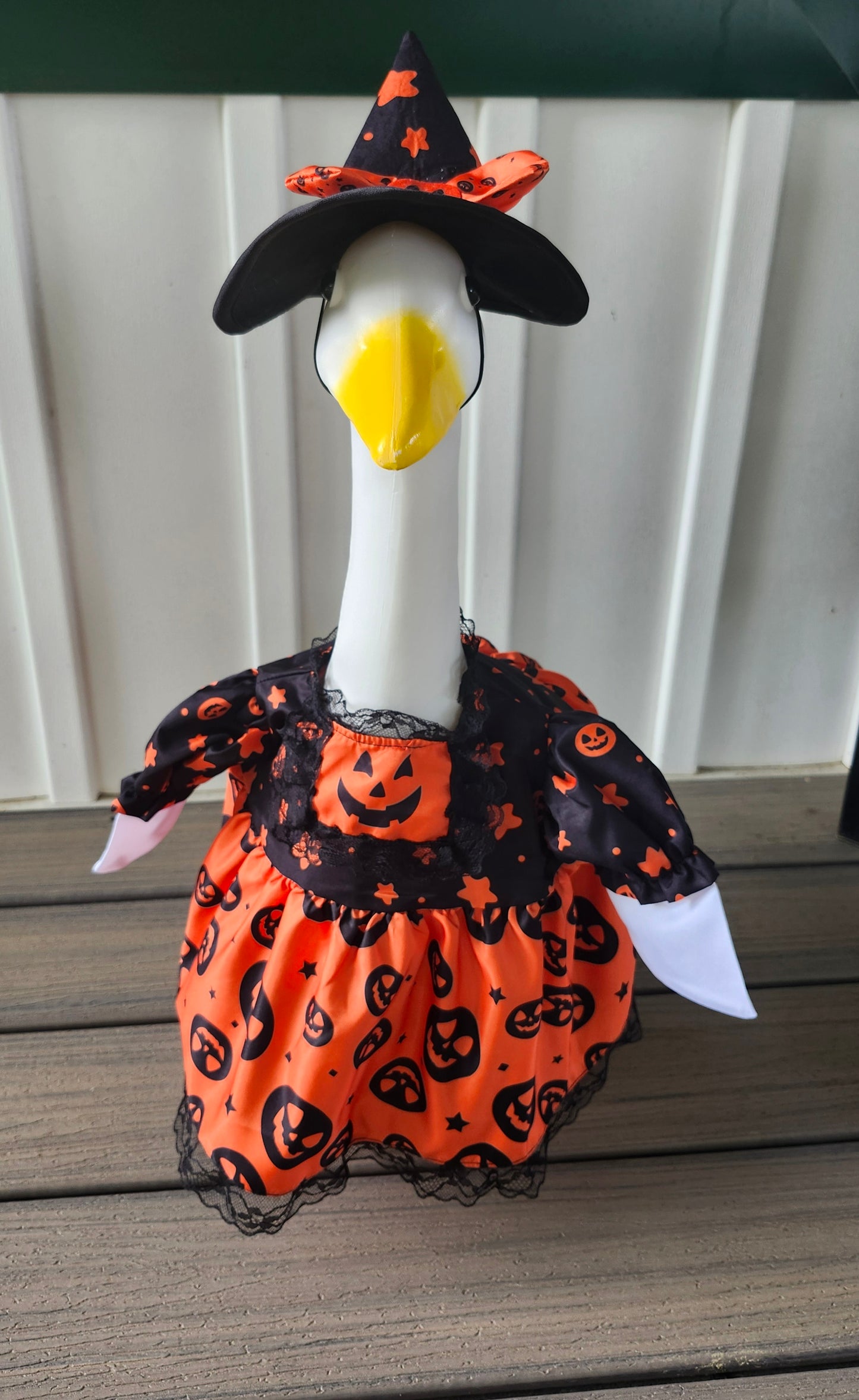 Pumpkin Halloween goose outfit