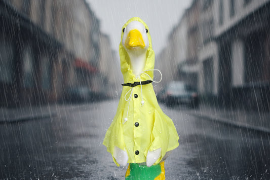 Poncho goose outfit