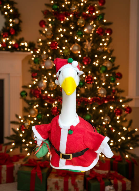 Santa w/candy cane in bag goose outfit