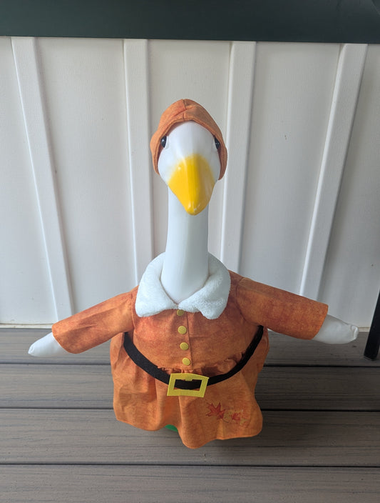Fall orange goose outfit