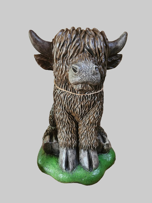 Scottish Highlander Cow