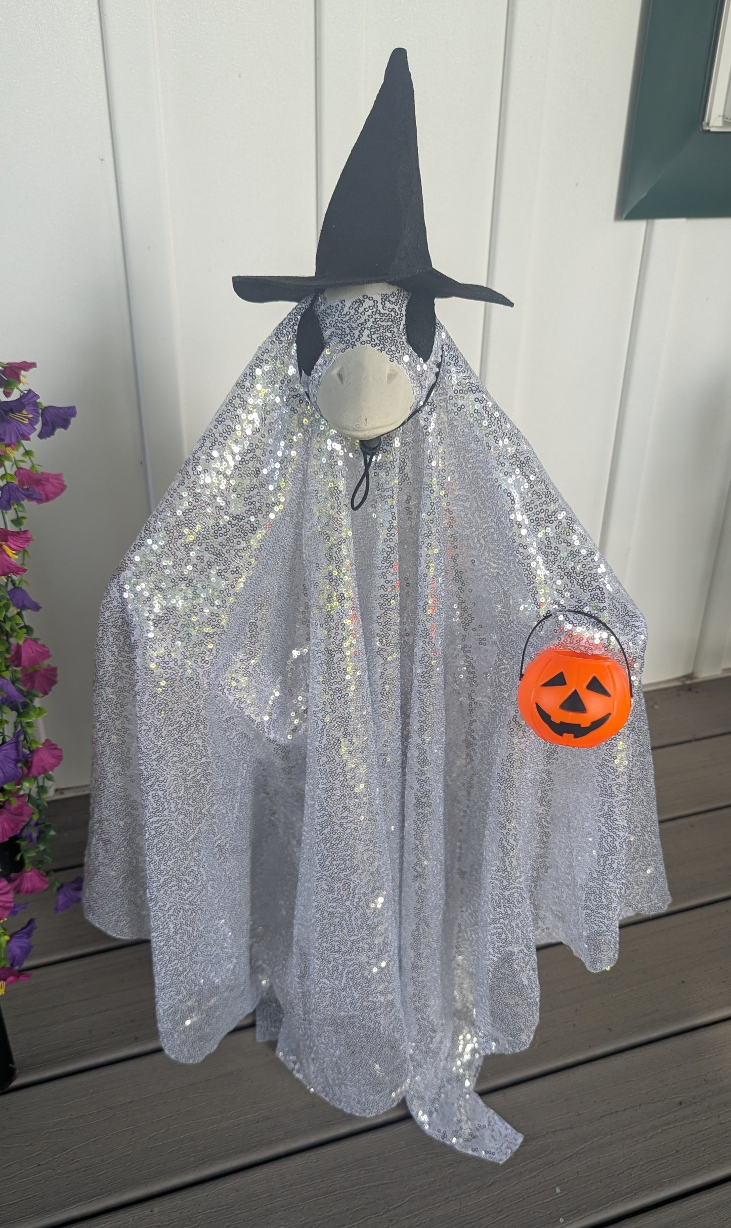 Sparkly Ghost w/pumpkin & wings goose outfit