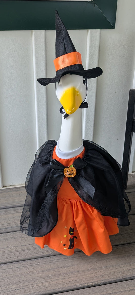 Black Cat Witch goose outfit