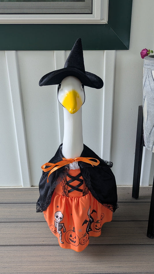 Skeleton witch goose outfit